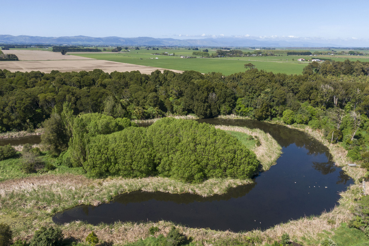 Highly Productive Soils & Attractive Environment