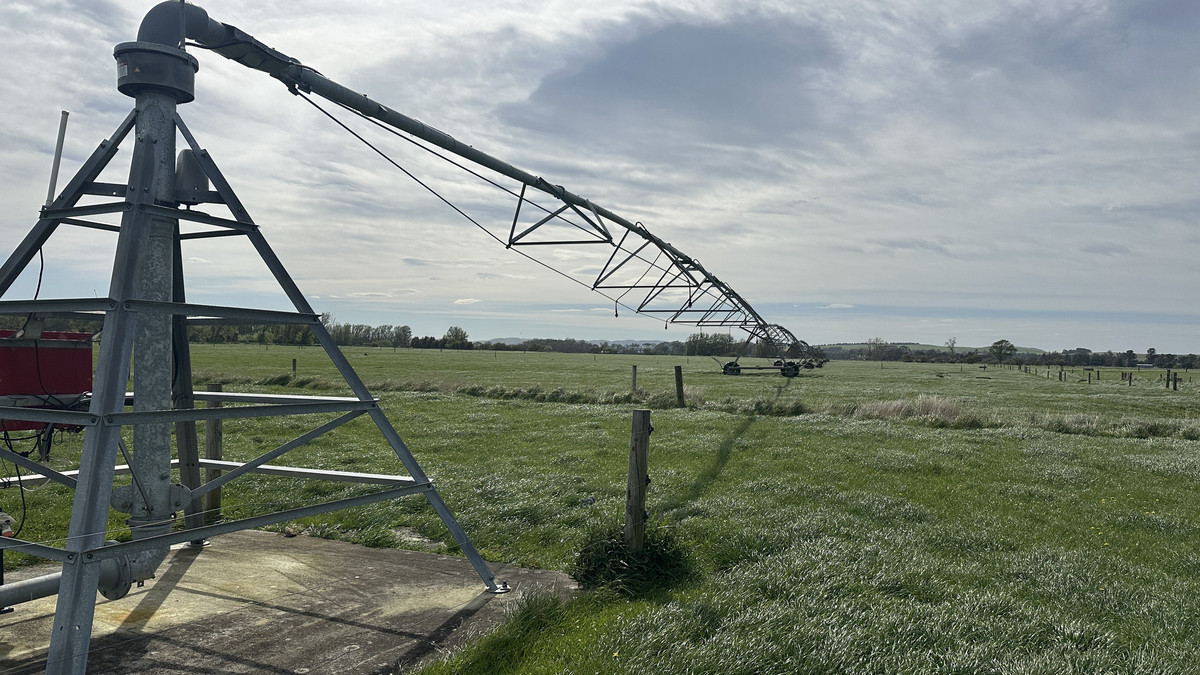 Irrigated Silts - Dairy Support, Finishing or Cropping