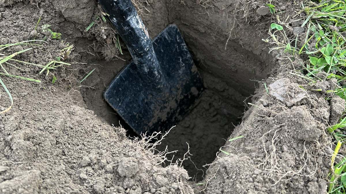 Irrigated Silts - Dairy Support, Finishing or Cropping