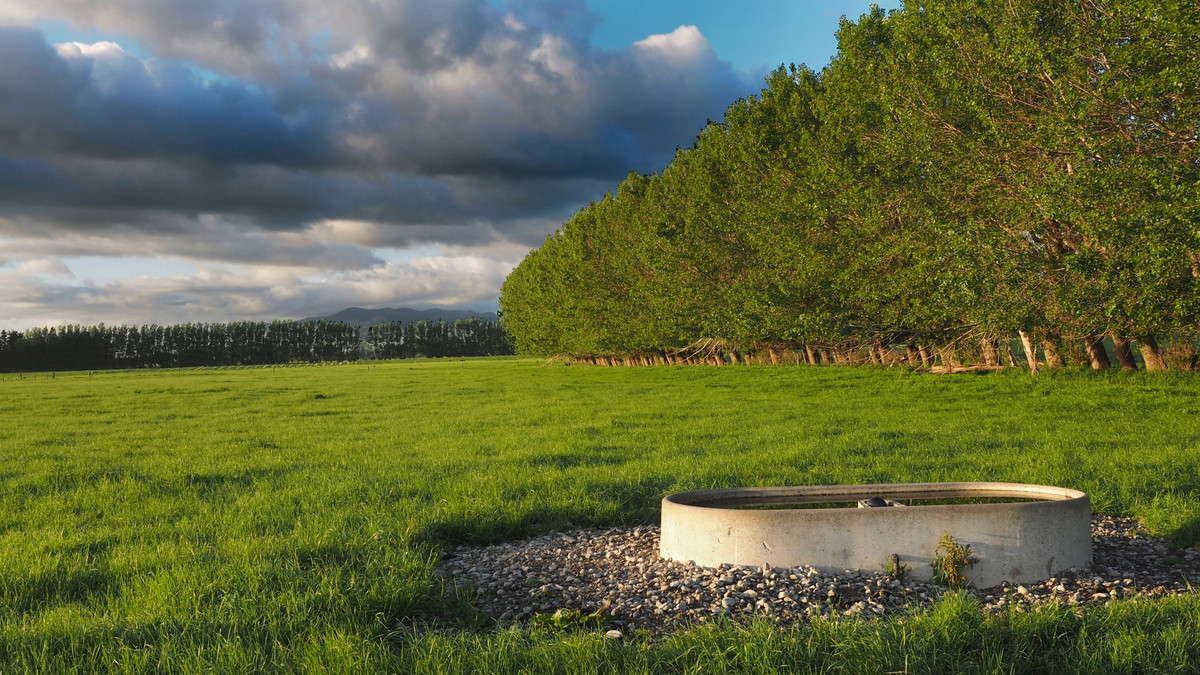 Irrigated Silts - Dairy Support, Finishing or Cropping