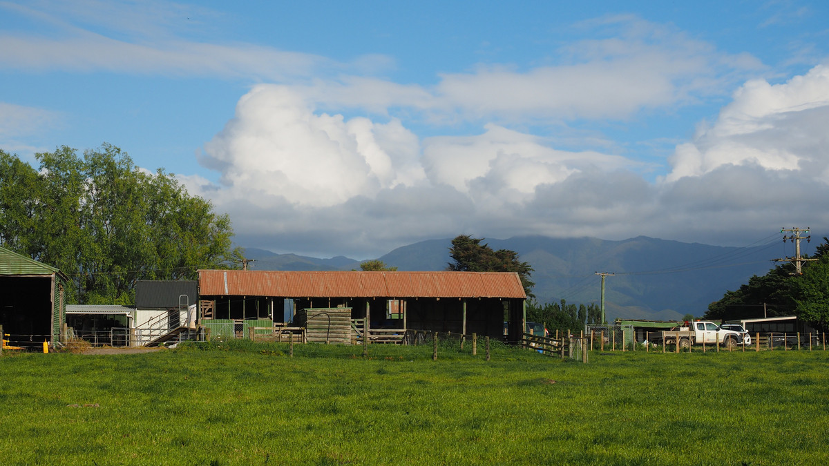 Irrigated Silts - Dairy Support, Finishing or Cropping