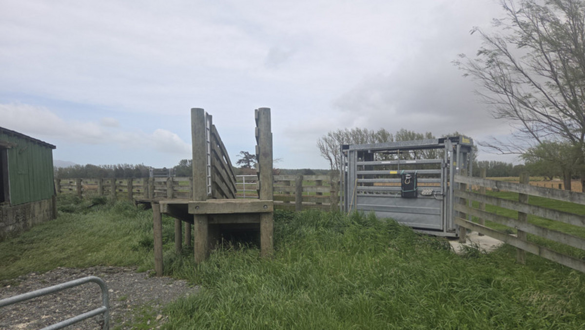 Irrigated Silts - Dairy Support, Finishing or Cropping