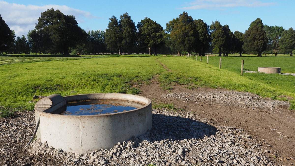 Irrigated Silts - Dairy Support, Finishing or Cropping