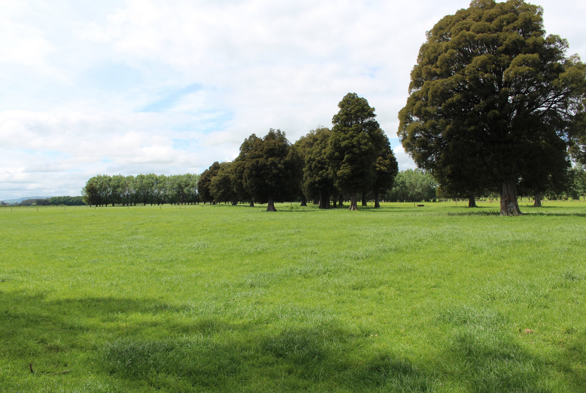 Irrigated Silts - Dairy Support, Finishing or Cropping