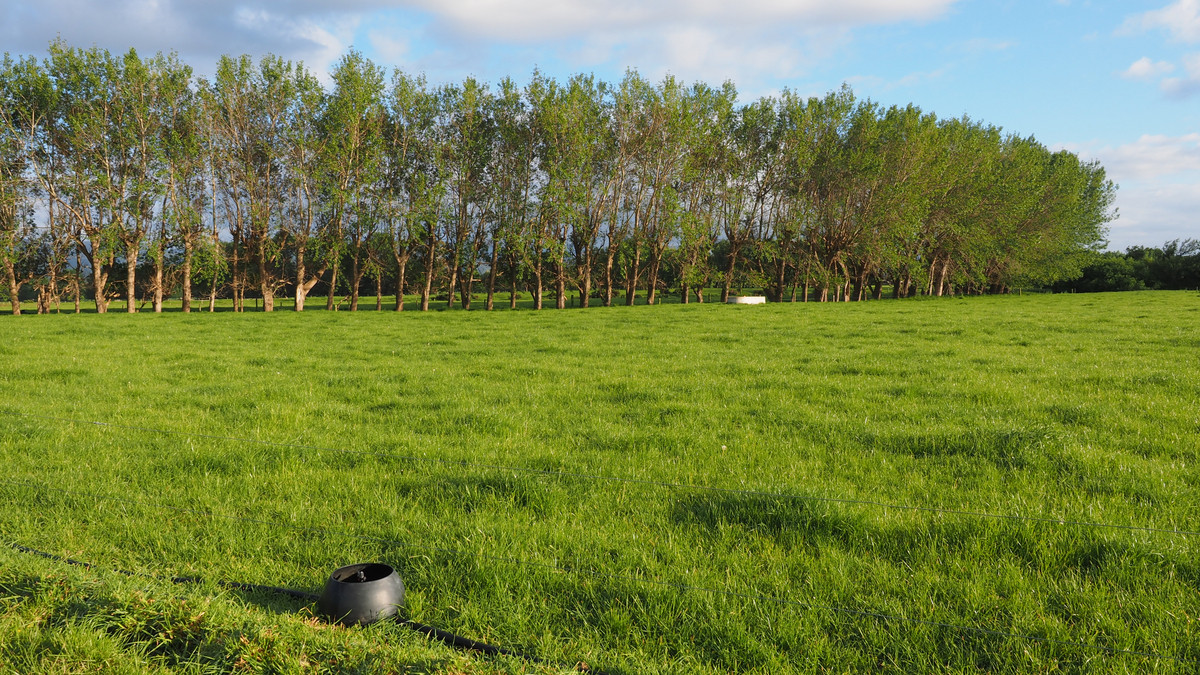 Irrigated Silts - Dairy Support, Finishing or Cropping