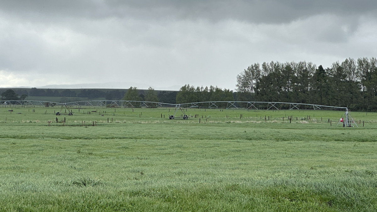 Irrigated Silts - Dairy Support, Finishing or Cropping