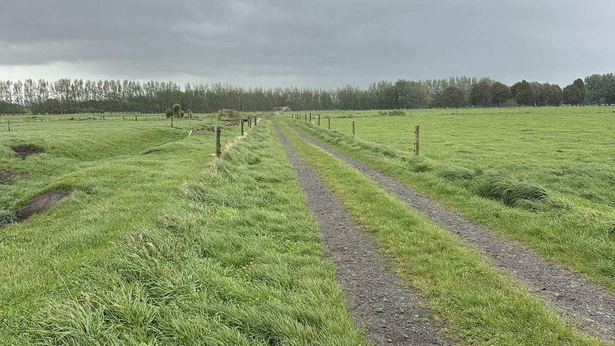 Irrigated Silts - Dairy Support, Finishing or Cropping