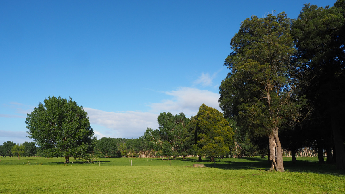 Irrigated Silts - Dairy Support, Finishing or Cropping
