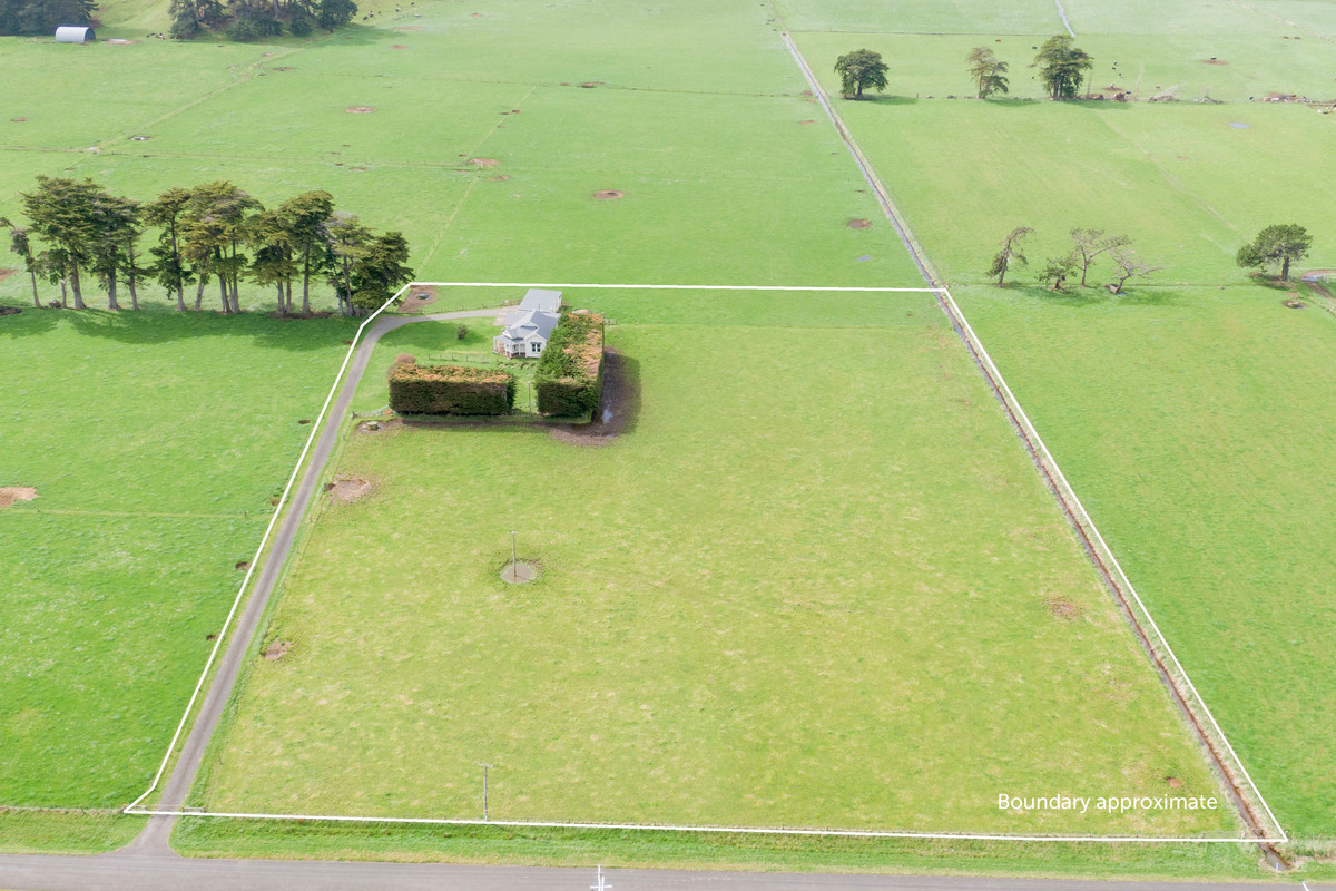 Perfect For Horse or House Perfect For Horse or House