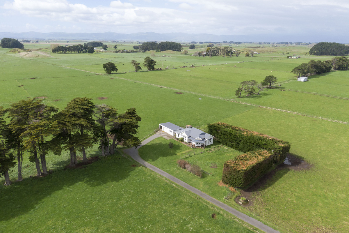 Perfect For Horse or House