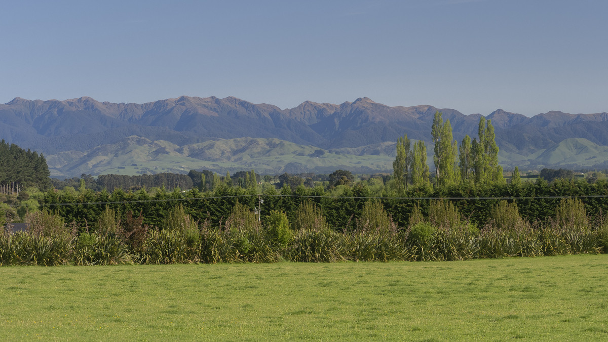Lot 7 - One of the Best in Gladstone!