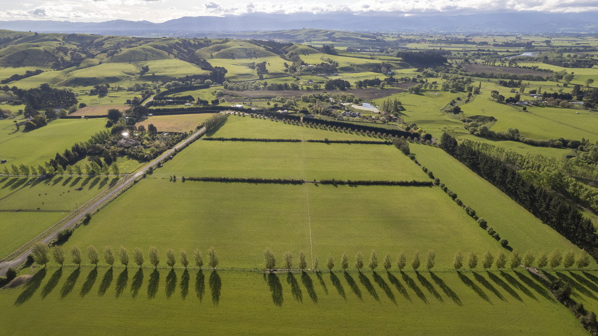 Lot 7 - One of the Best in Gladstone!