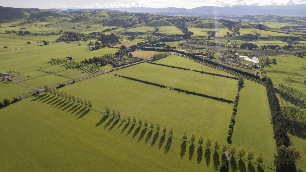 Lot 7 - One of the Best in Gladstone!