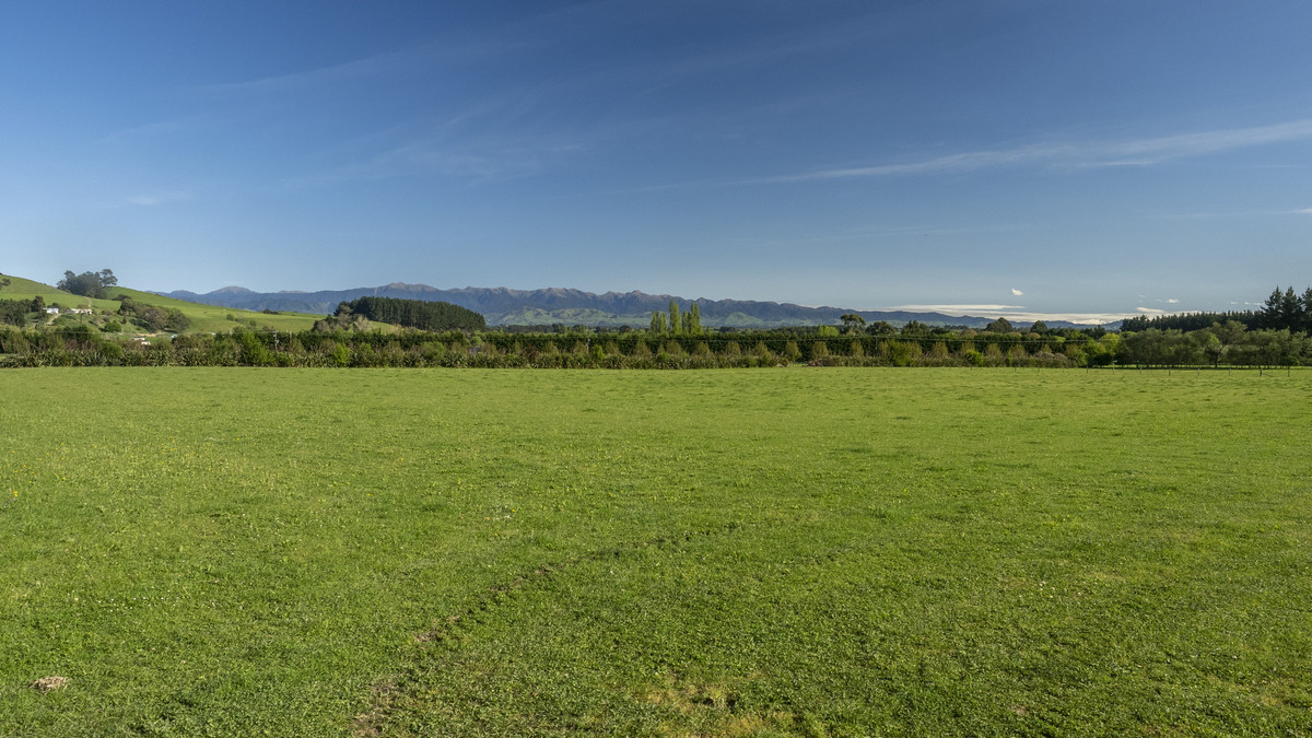 Lot 7 - One of the Best in Gladstone!