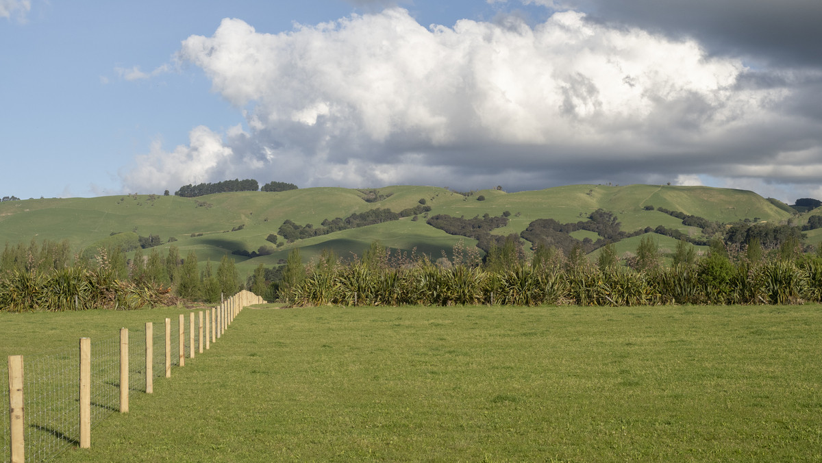 Lot 7 - One of the Best in Gladstone!