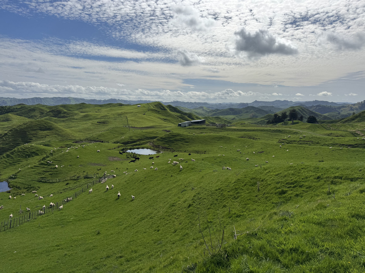 Double The Income, Double The Options