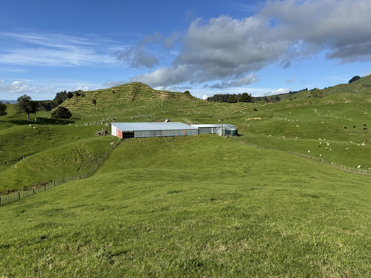 Double The Income, Double The Options