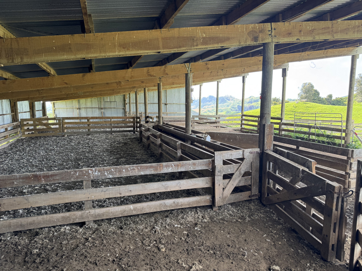 Double The Income, Double The Options