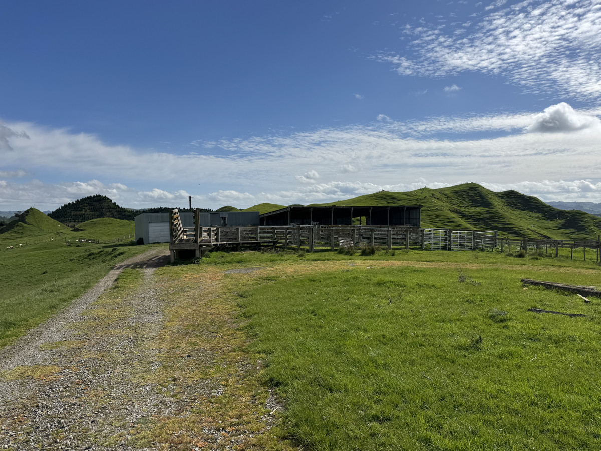 Double The Income, Double The Options