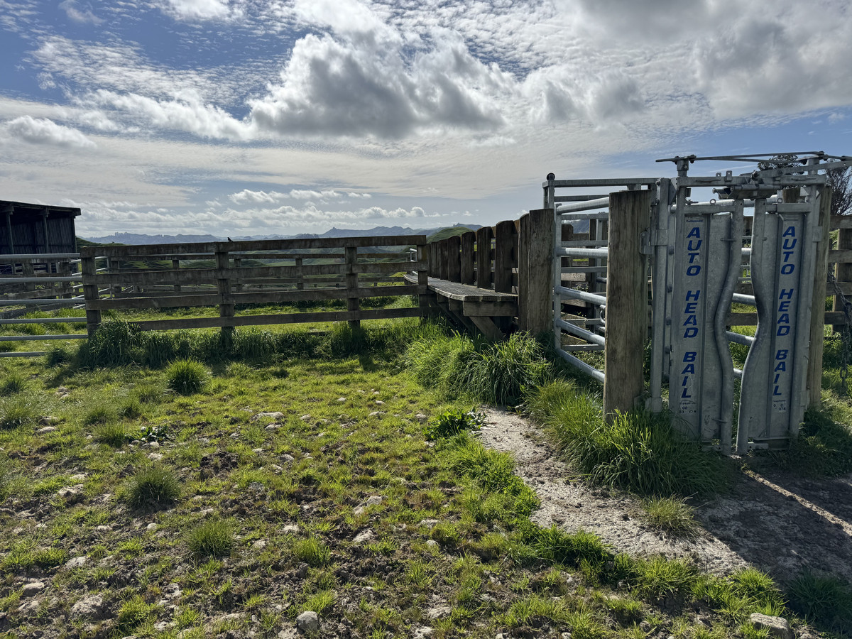 Double The Income, Double The Options