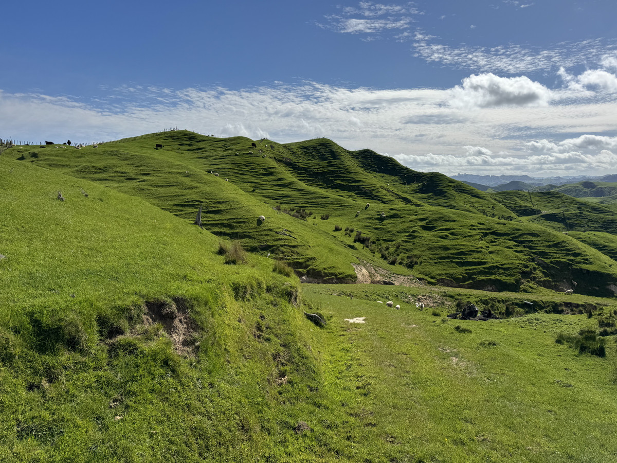 Double The Income, Double The Options