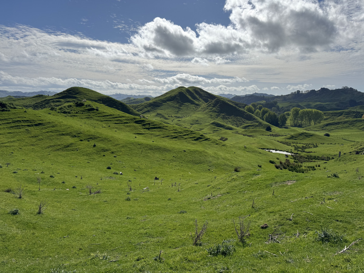 Double The Income, Double The Options