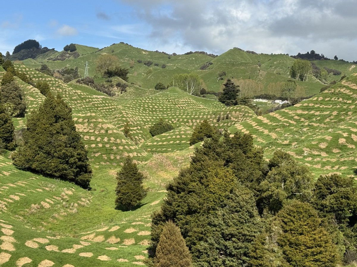 Double The Income, Double The Options