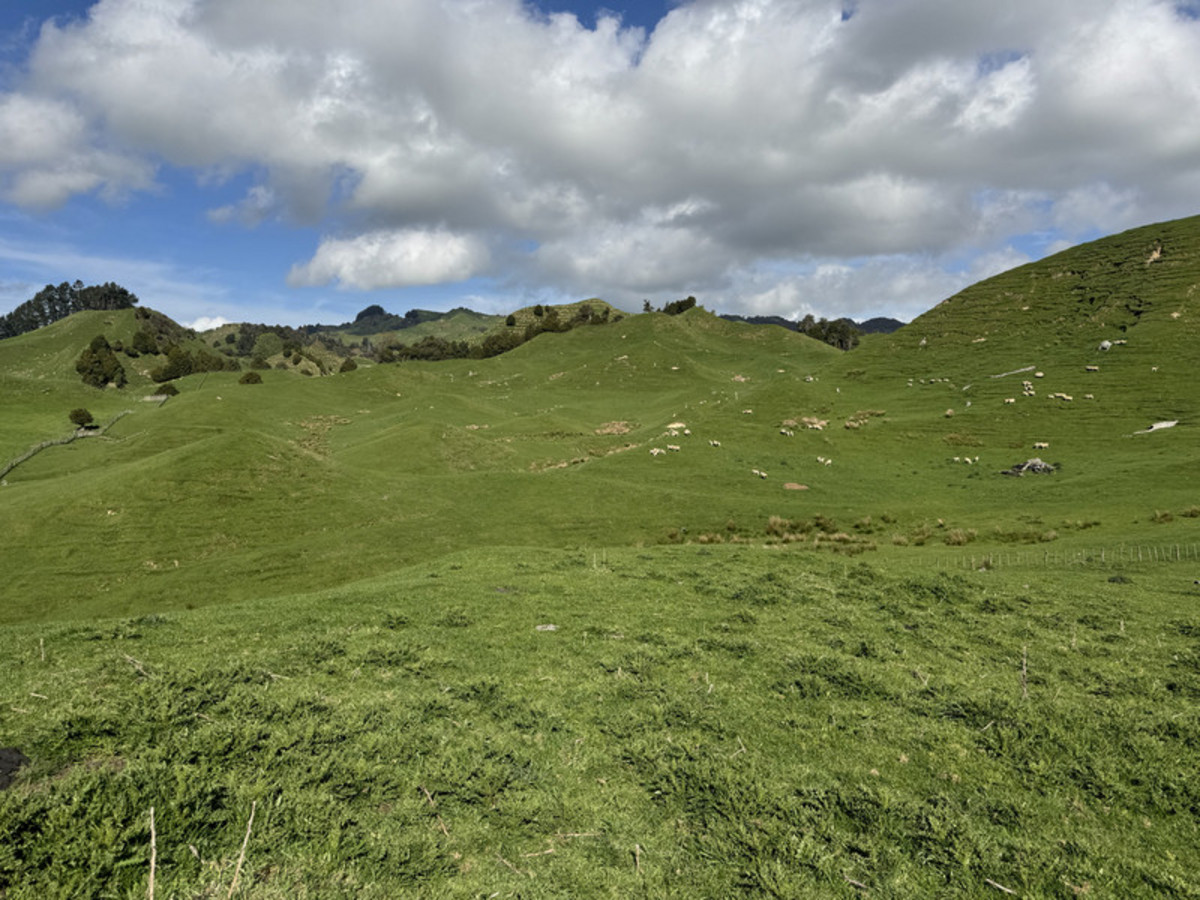 Double The Income, Double The Options