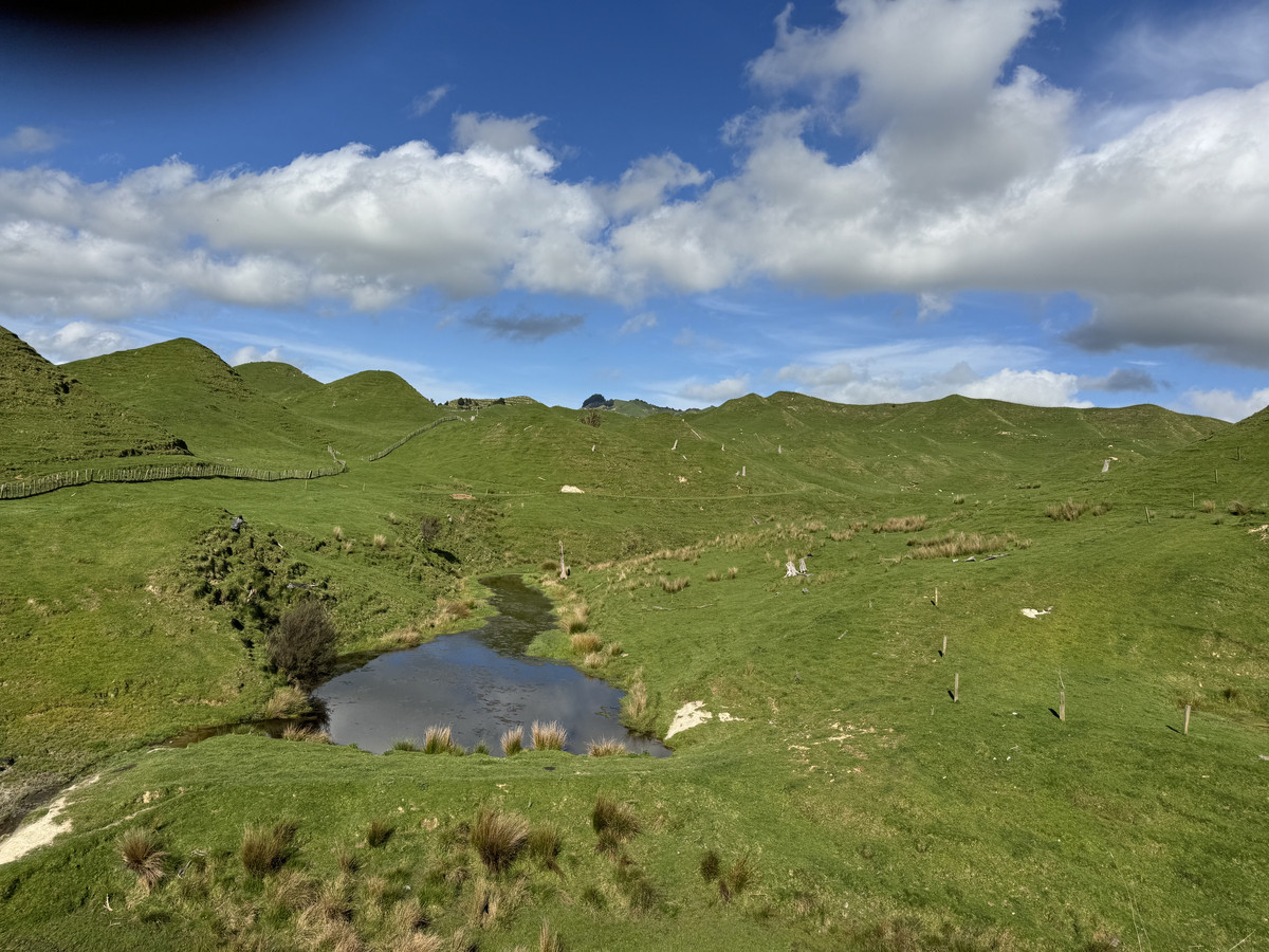 Double The Income, Double The Options