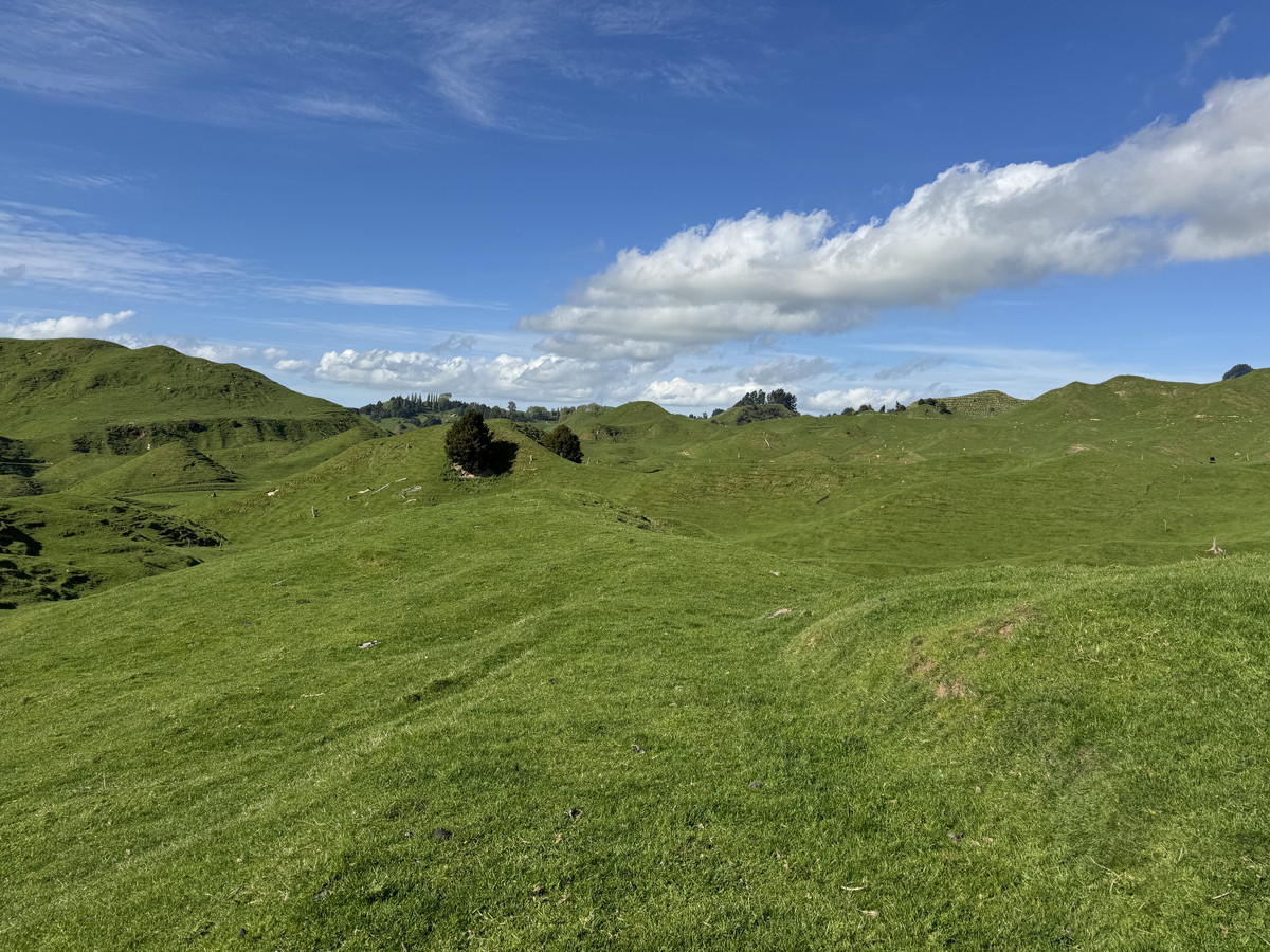 Double The Income, Double The Options