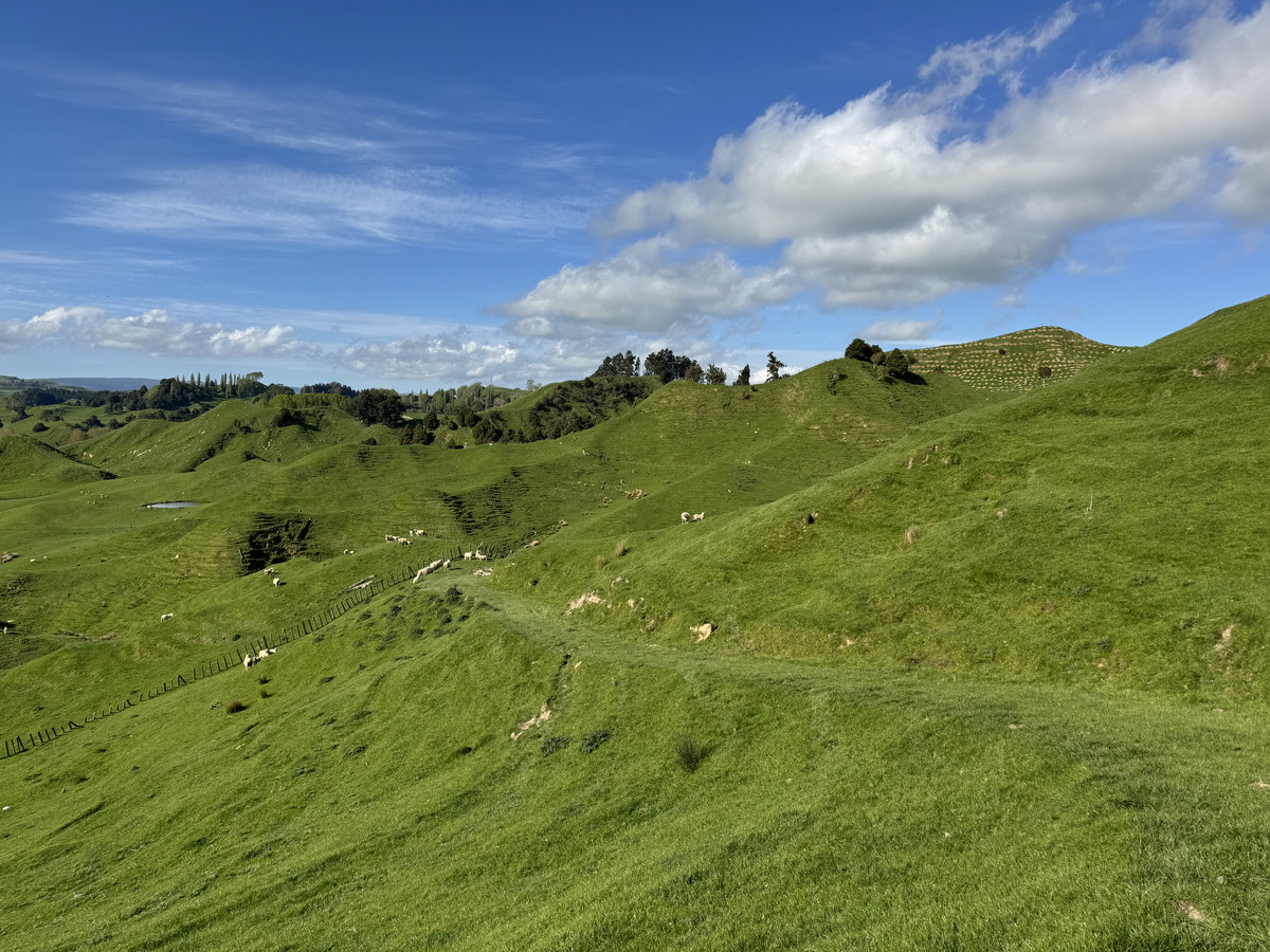 Double The Income, Double The Options