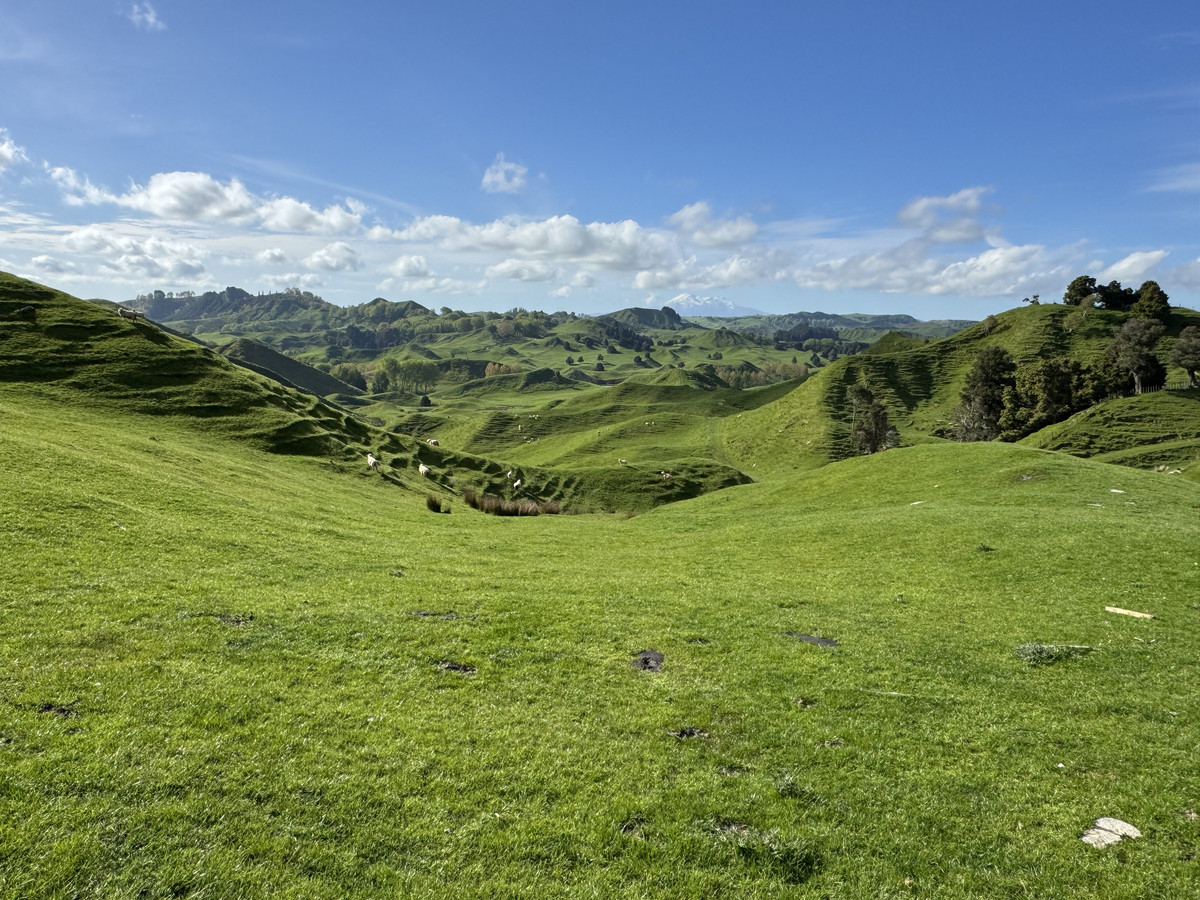 Double The Income, Double The Options