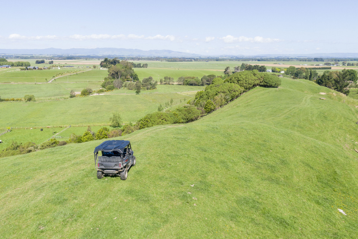Not Your Typical Bareland Block - 4.76ha (sts)
