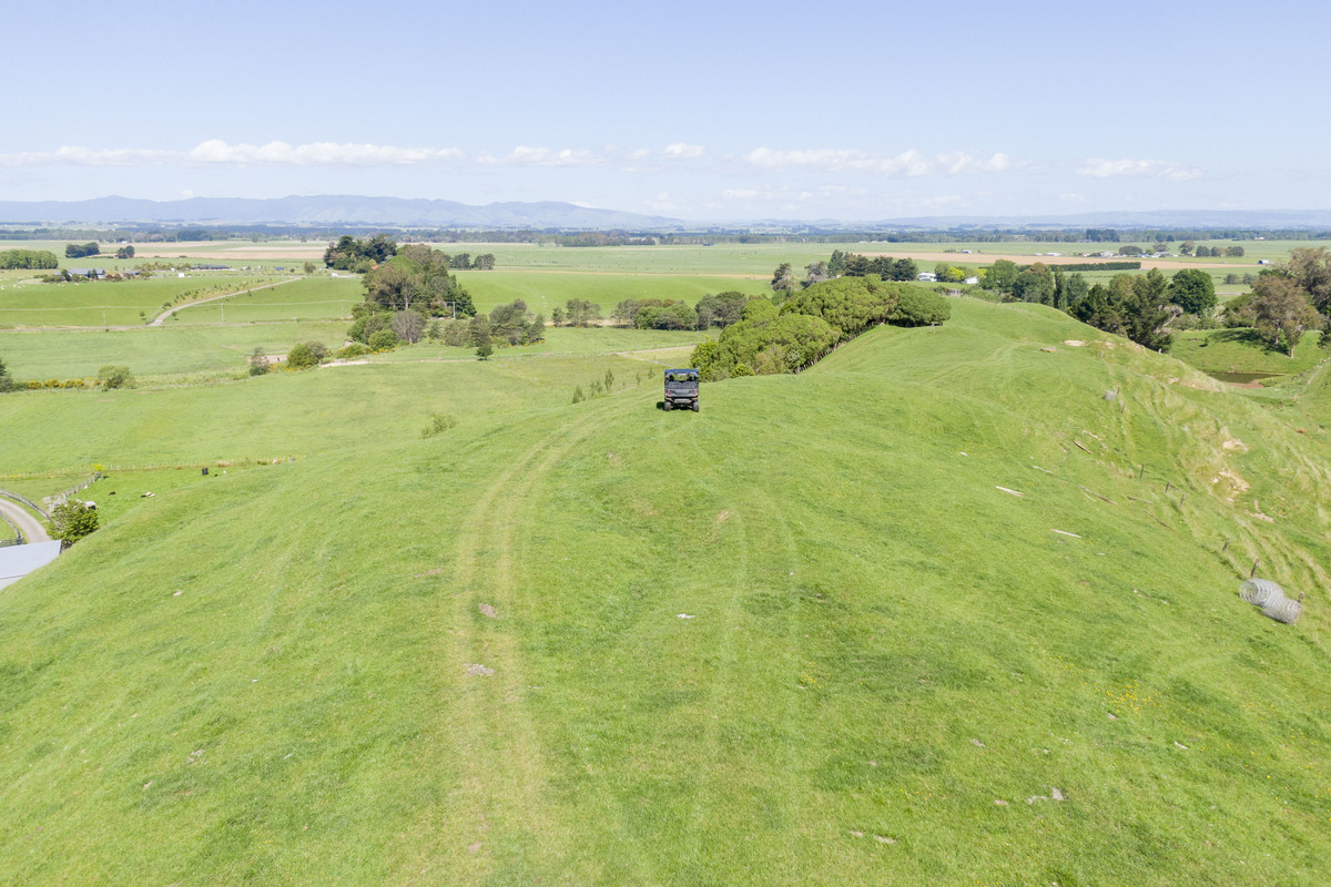 Not Your Typical Bareland Block - 4.76ha (sts)