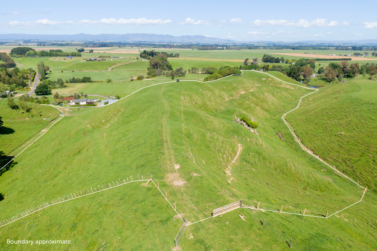 Not Your Typical Bareland Block - 4.76ha (sts)