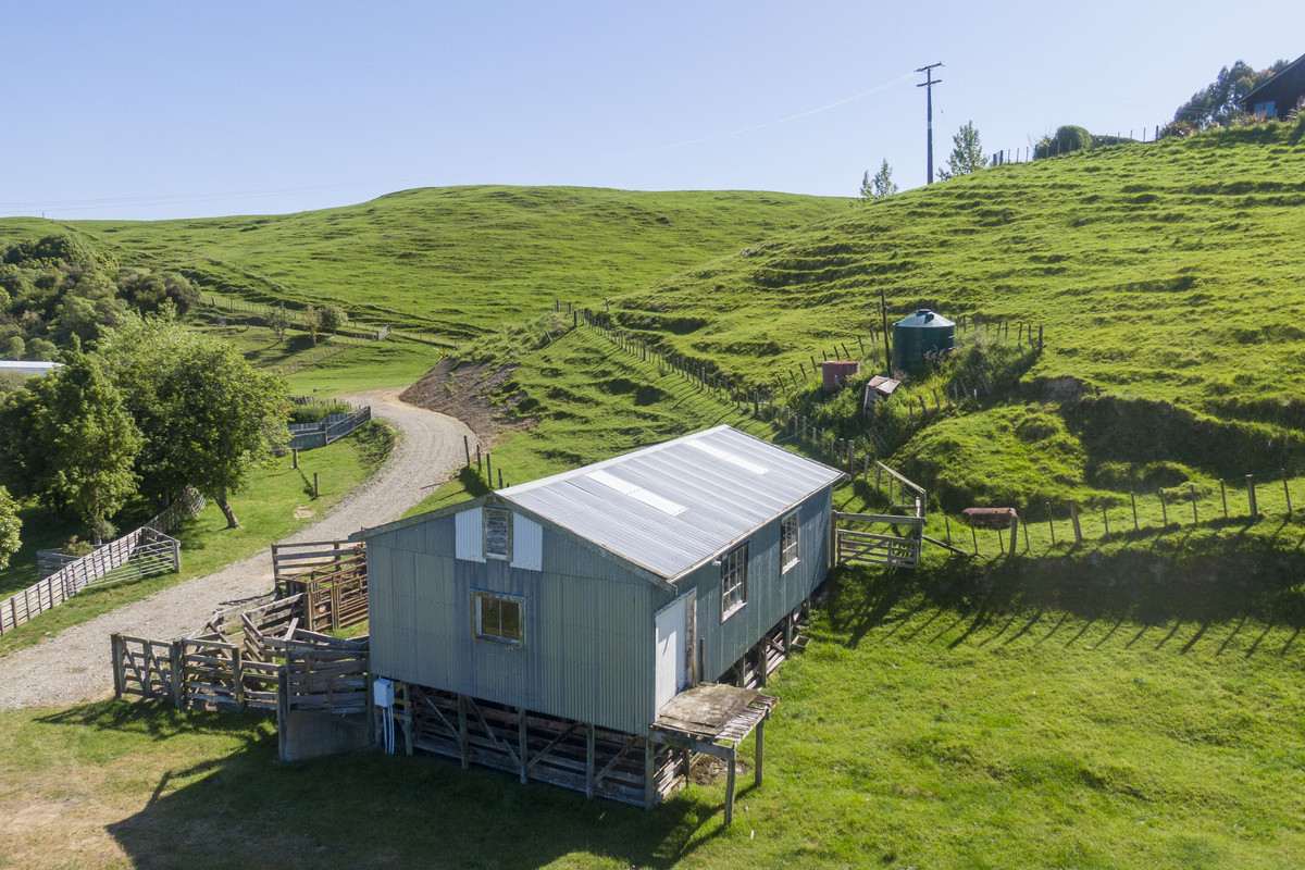 Not Your Typical Bareland Block - 4.76ha (sts)