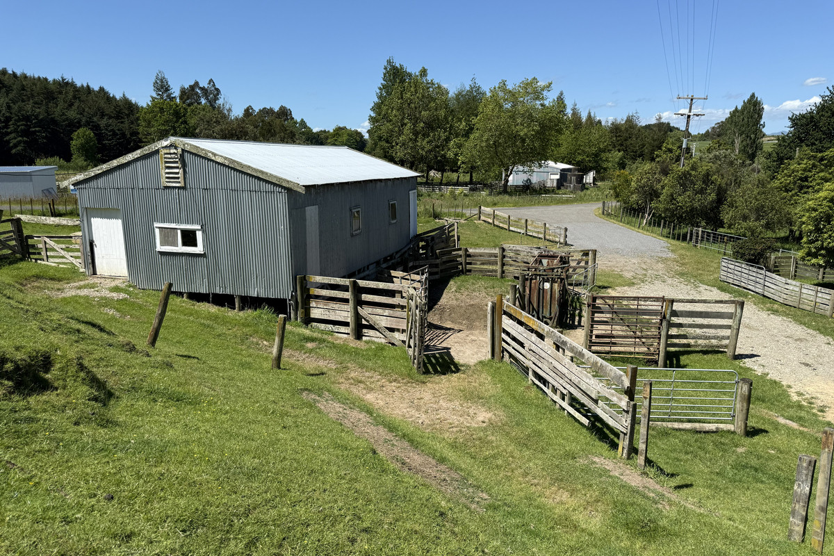 Not Your Typical Bareland Block - 4.76ha (sts)