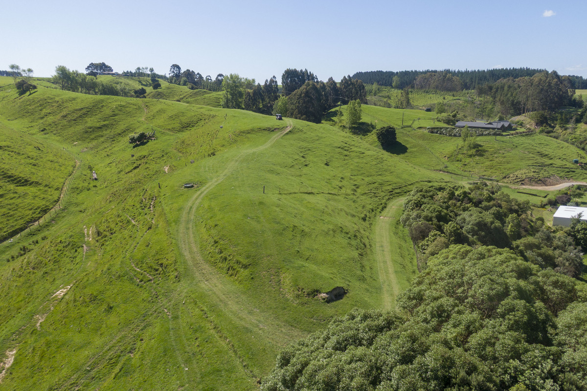 Not Your Typical Bareland Block - 4.76ha (sts)