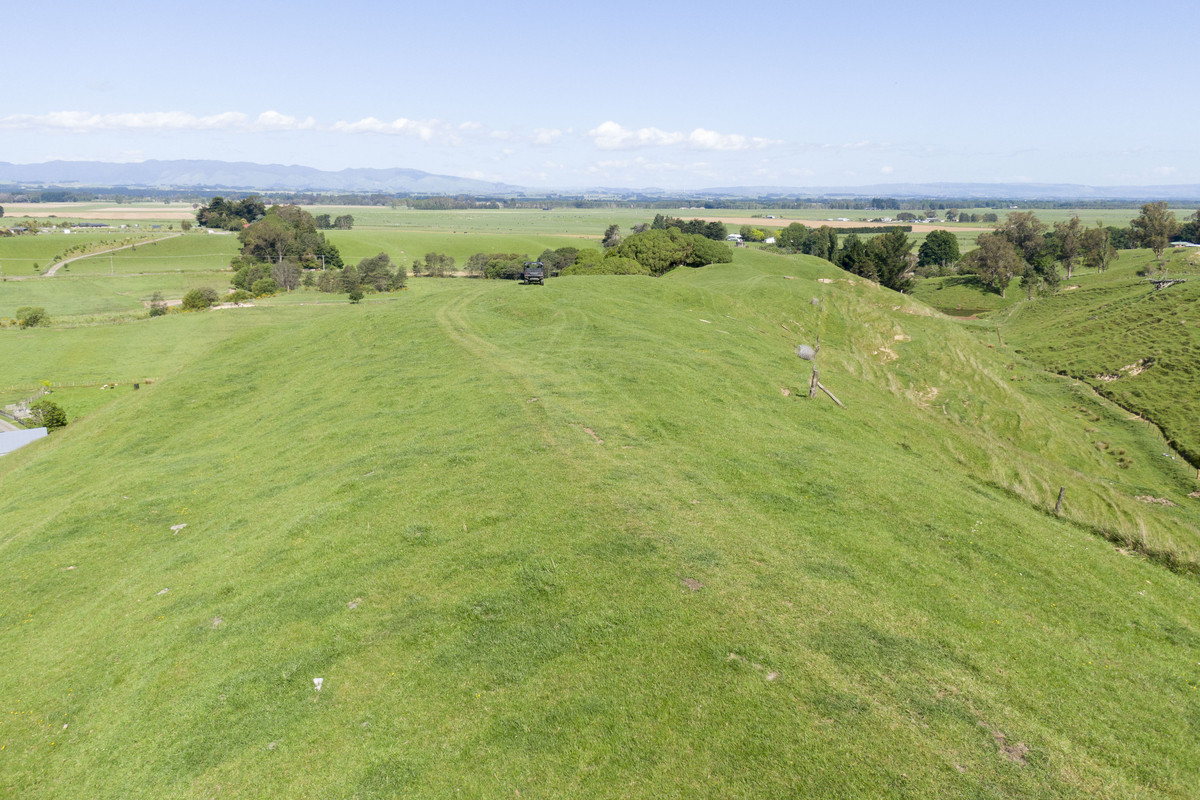 Not Your Typical Bareland Block - 4.76ha (sts)