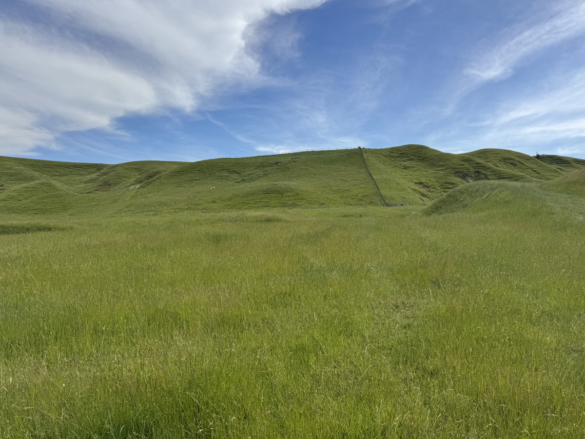 Great Balanced Contour Seeks A New Guardian