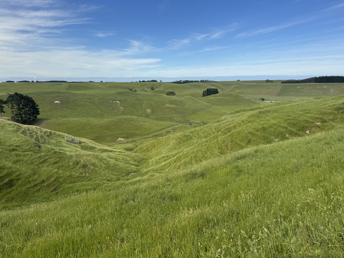 Great Balanced Contour Seeks A New Guardian