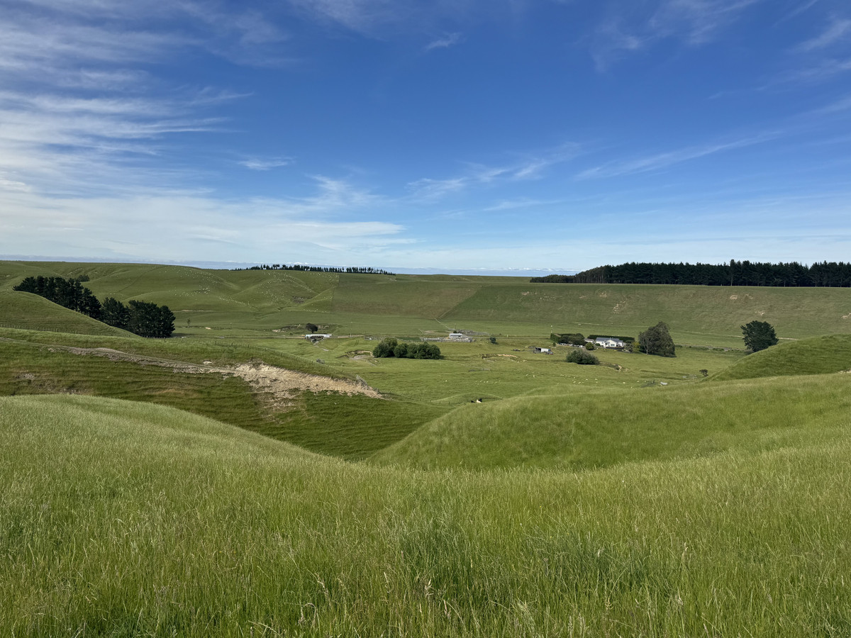 Great Balanced Contour Seeks A New Guardian