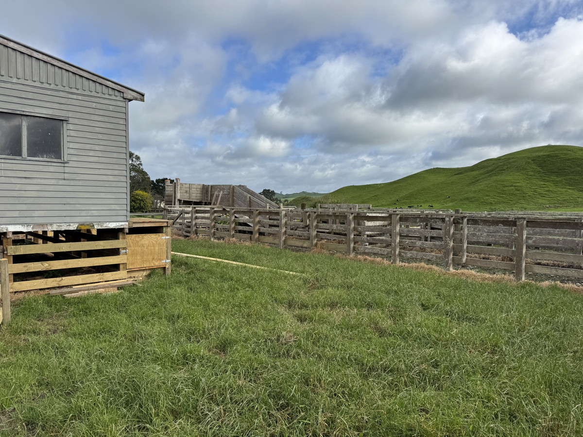 Great Balanced Contour Seeks A New Guardian