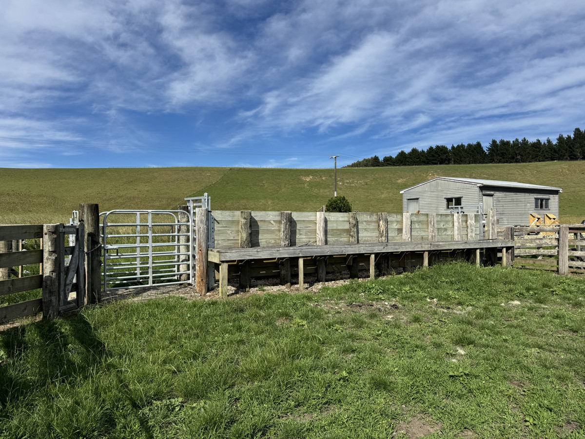 Great Balanced Contour Seeks A New Guardian