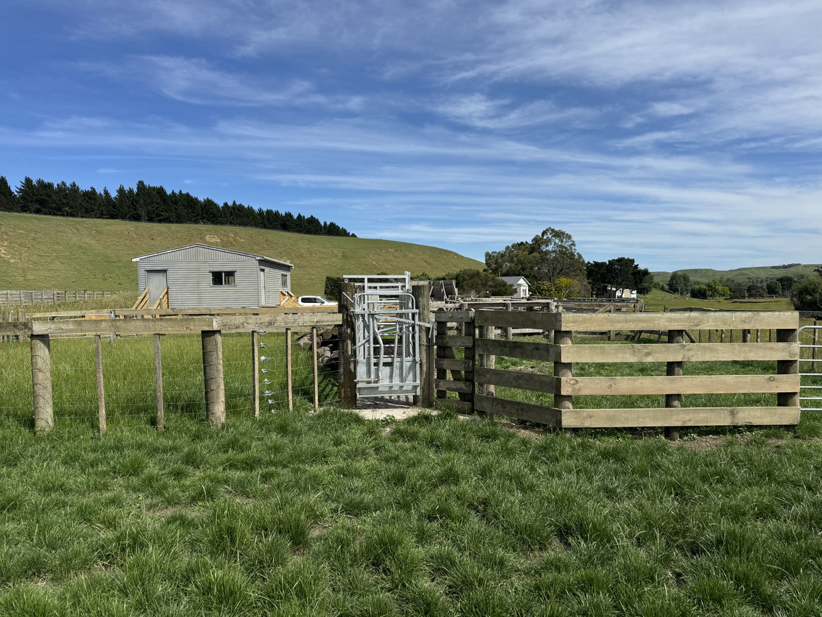 Great Balanced Contour Seeks A New Guardian