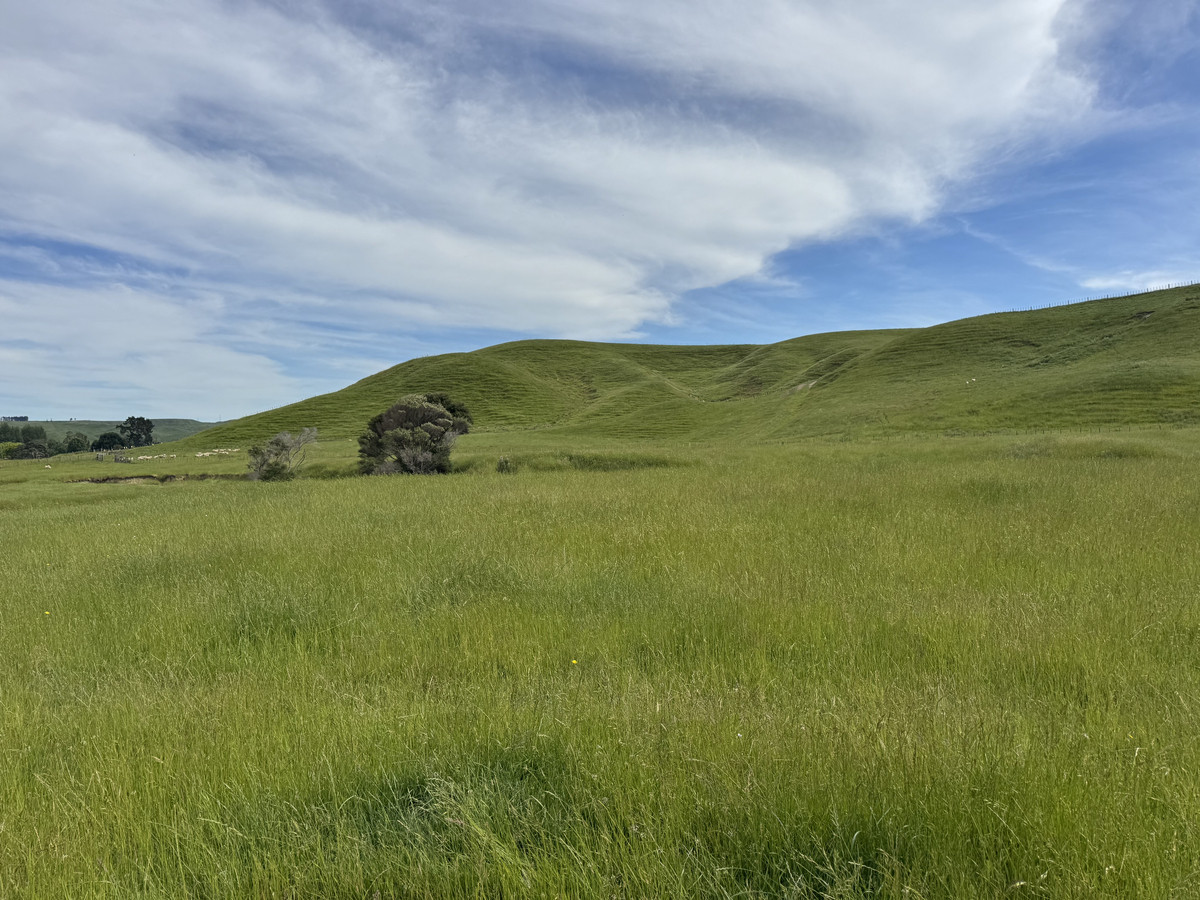Great Balanced Contour Seeks A New Guardian