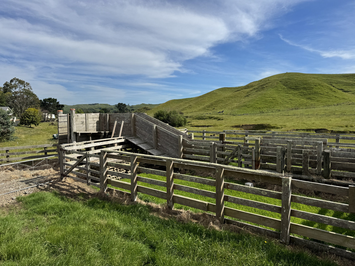 Great Balanced Contour Seeks A New Guardian