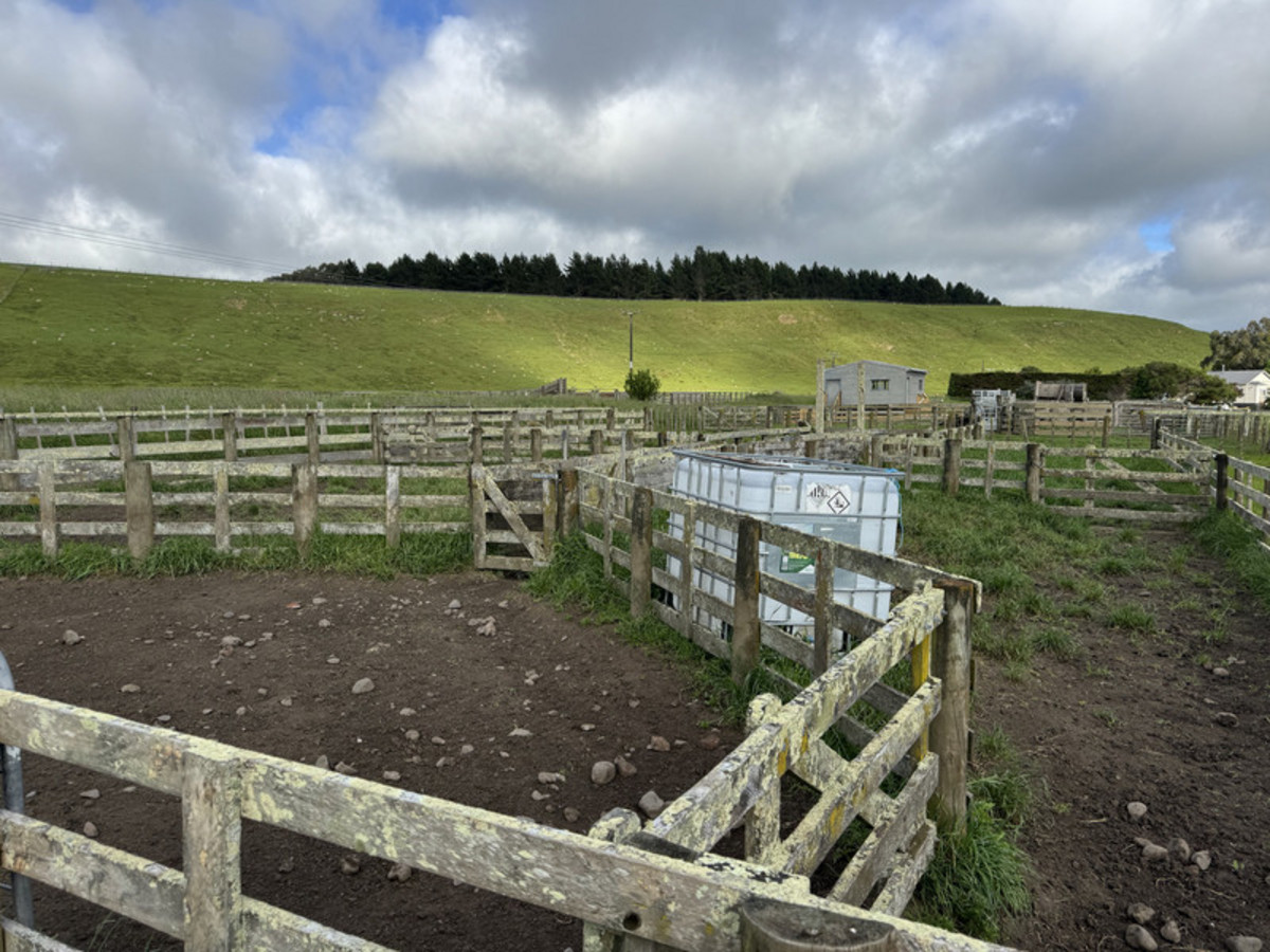 Great Balanced Contour Seeks A New Guardian