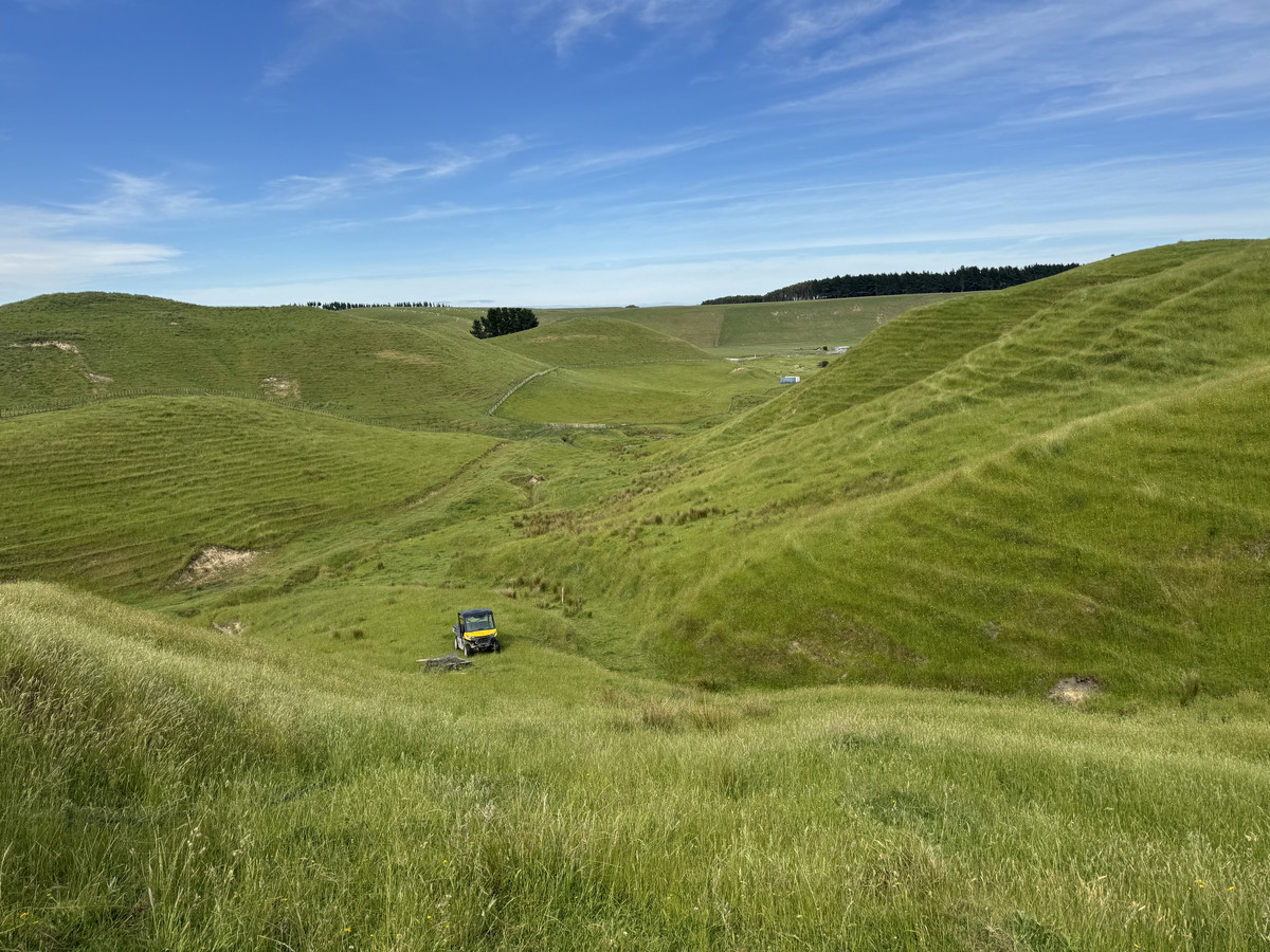 Great Balanced Contour Seeks A New Guardian