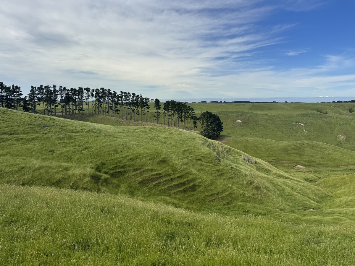 Great Balanced Contour Seeks A New Guardian
